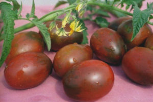 Tomato Chocolate Bunny