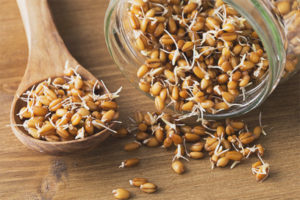 What is useful sprouted wheat