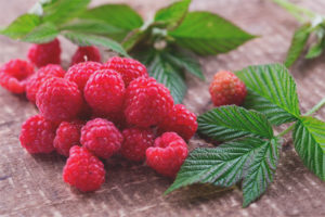 Raspberries for children